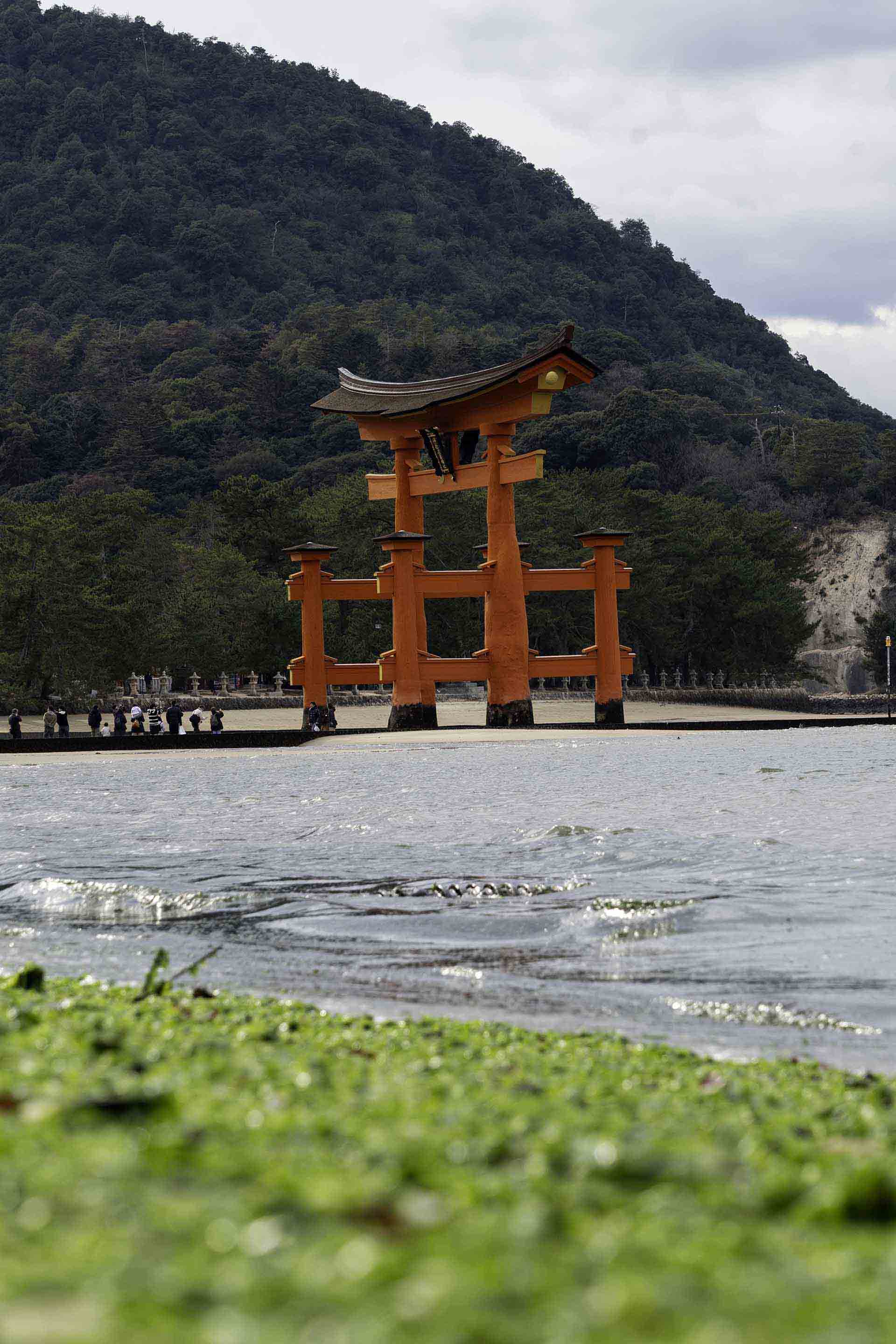 Function Calling（関数呼び出し）とは？AIが外部ツールを使う仕組みを解説