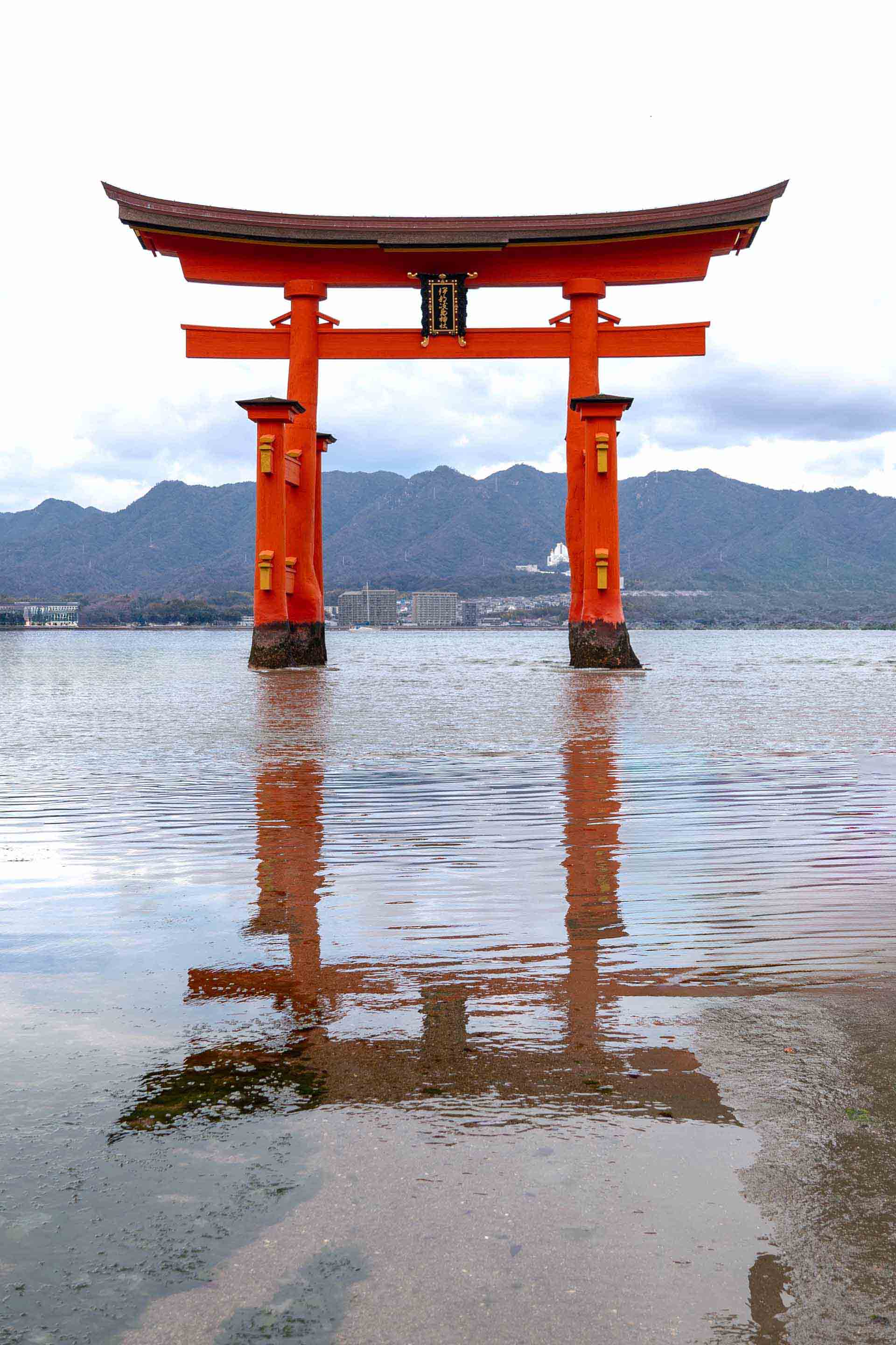 AGI（汎用人工知能）とは｜実現時期は2030年？専門家の予測と現状を解説