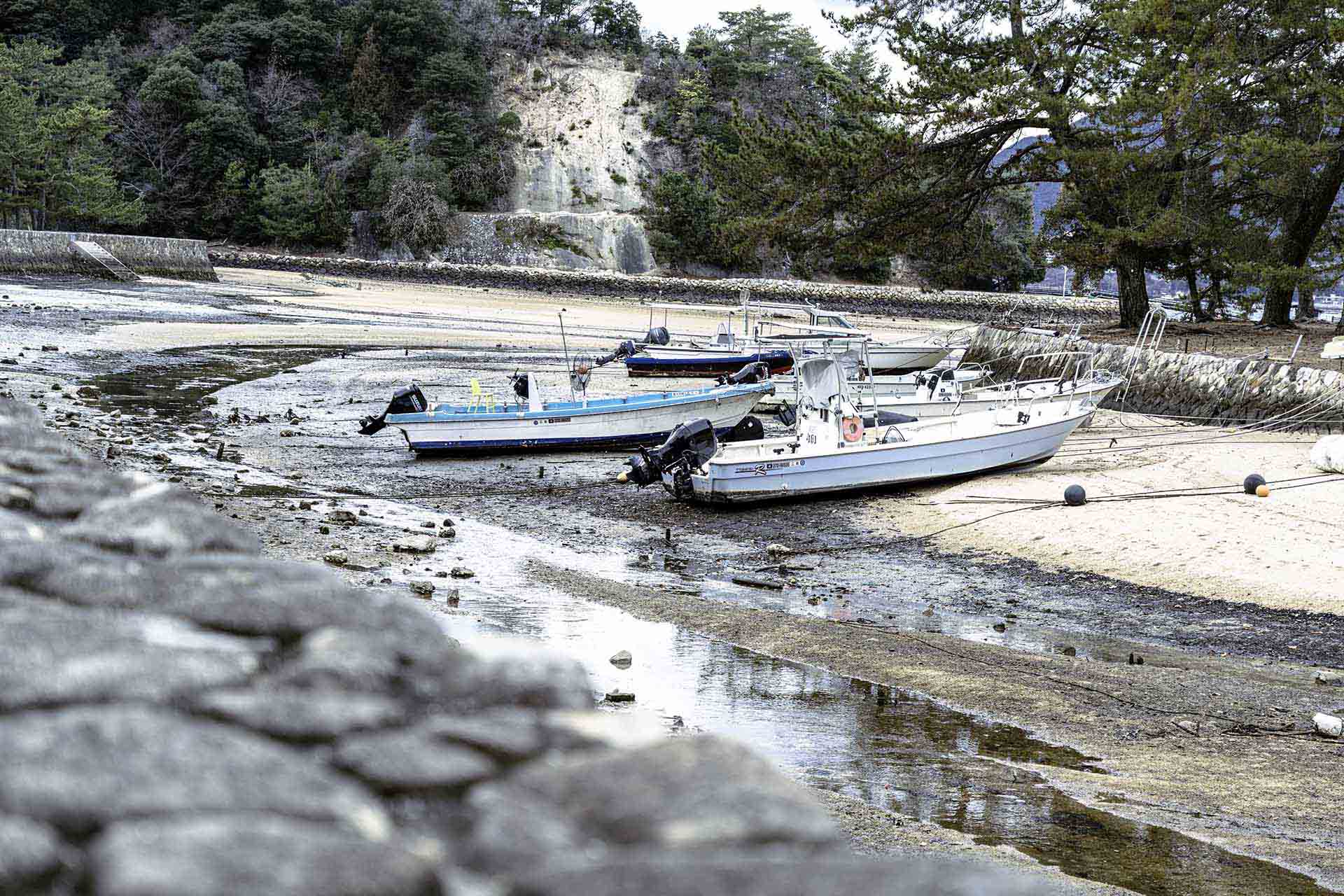 エッジAIとは｜クラウド不要でリアルタイム処理、スマホ・IoTでのAI活用