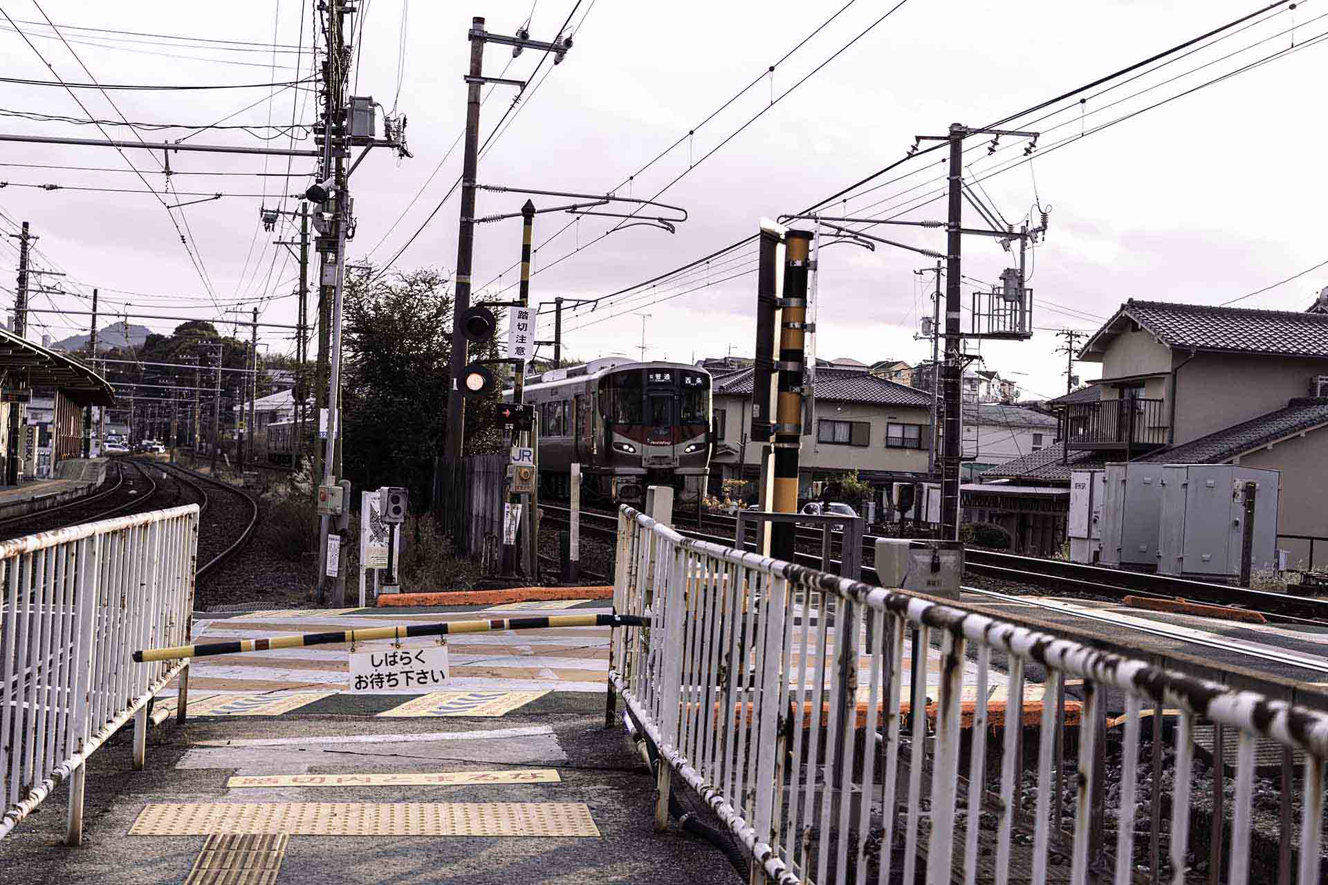 SLM（小規模言語モデル）とは｜軽量で低コスト、Phi-4やGemma 2の特徴を解説