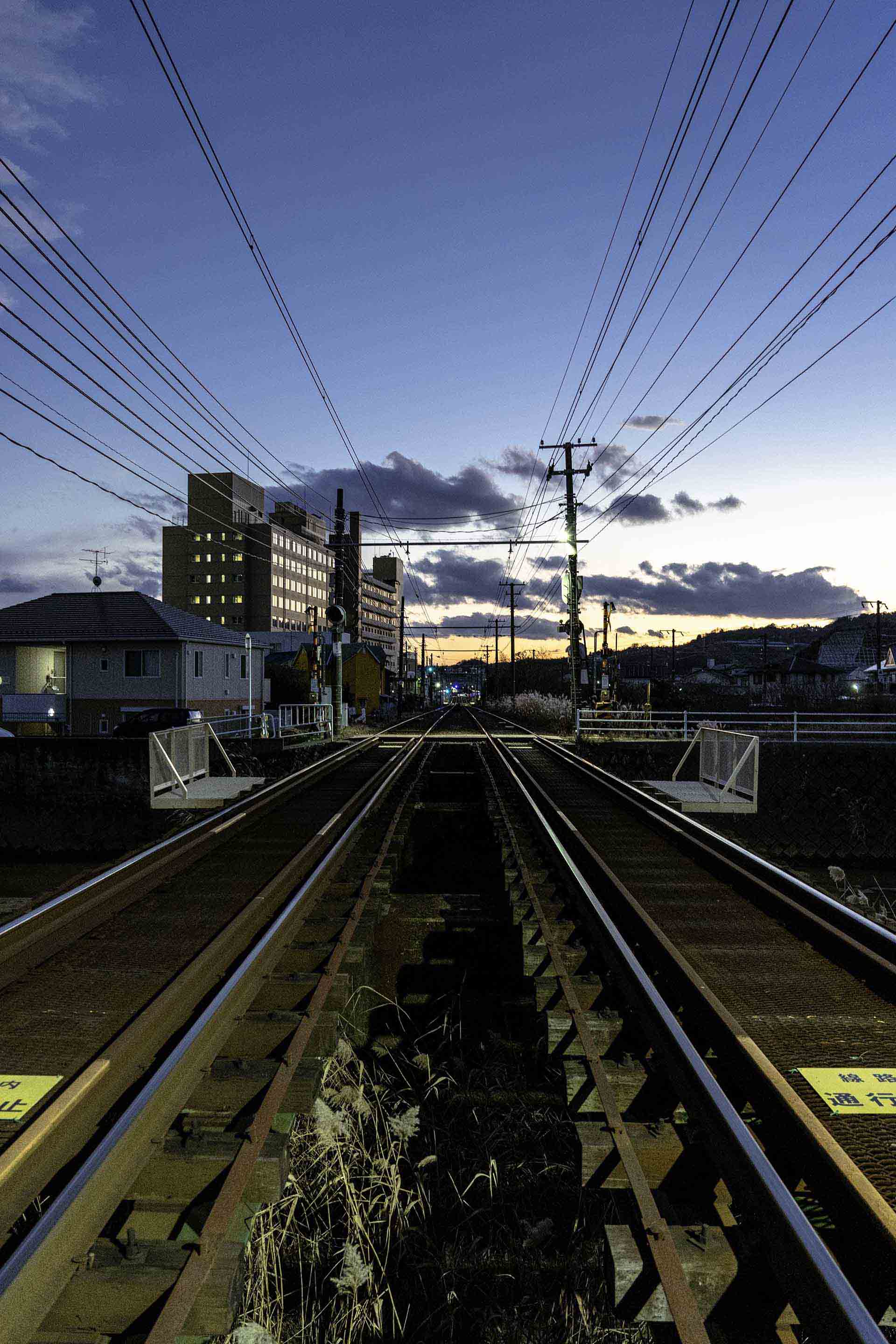 AI画像生成比較｜DALL-E 3・Midjourney・Stable Diffusion、どれを選ぶべき？