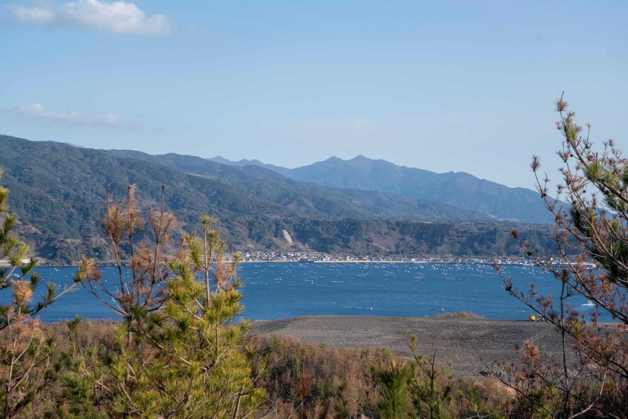 AI時代の採用戦略｜今どんな人材を採るべきか？求められるスキルと採用のポイント