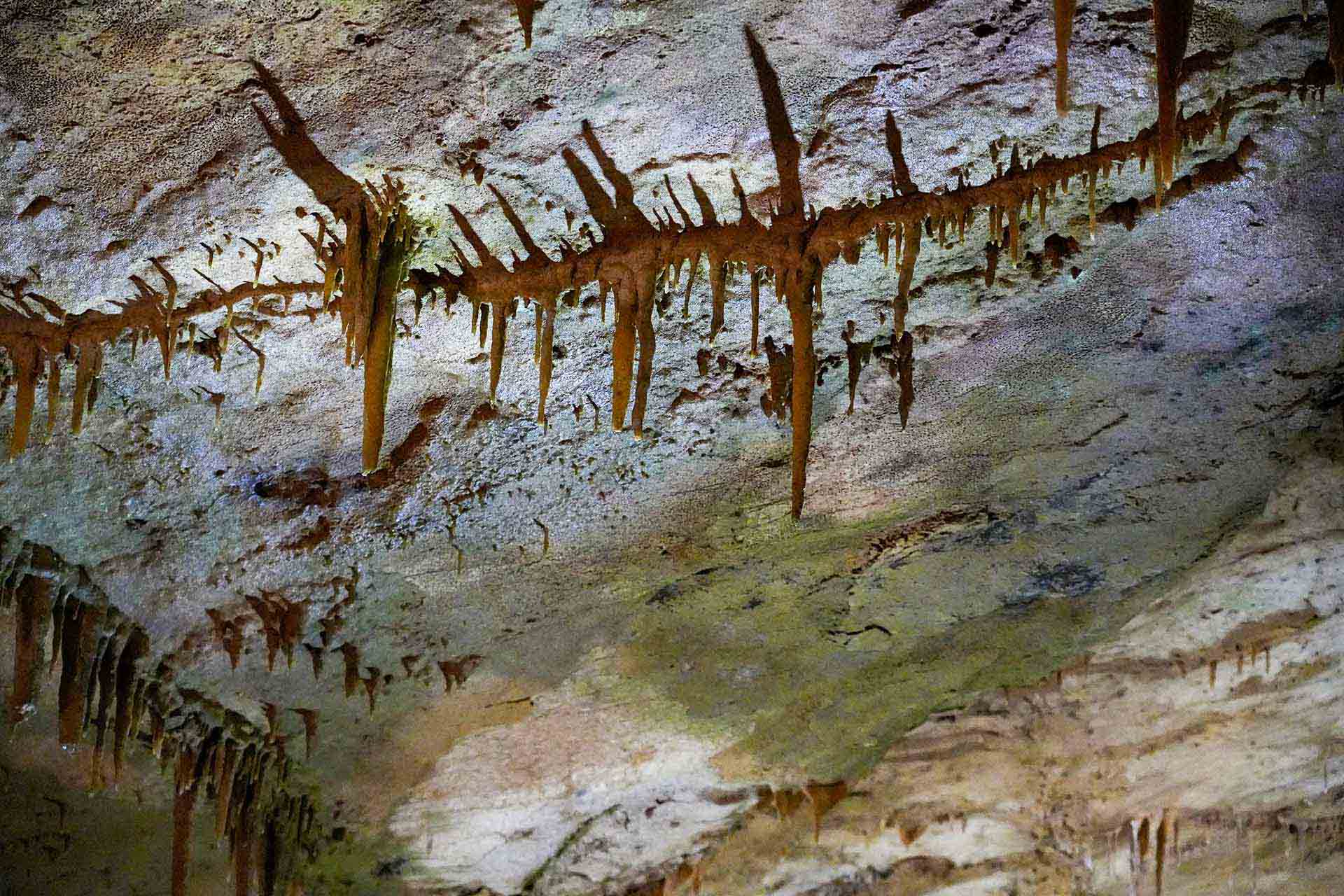 AI議事録ツール比較｜Otter・Notta・tl;dv・Fireflies【2026年版】