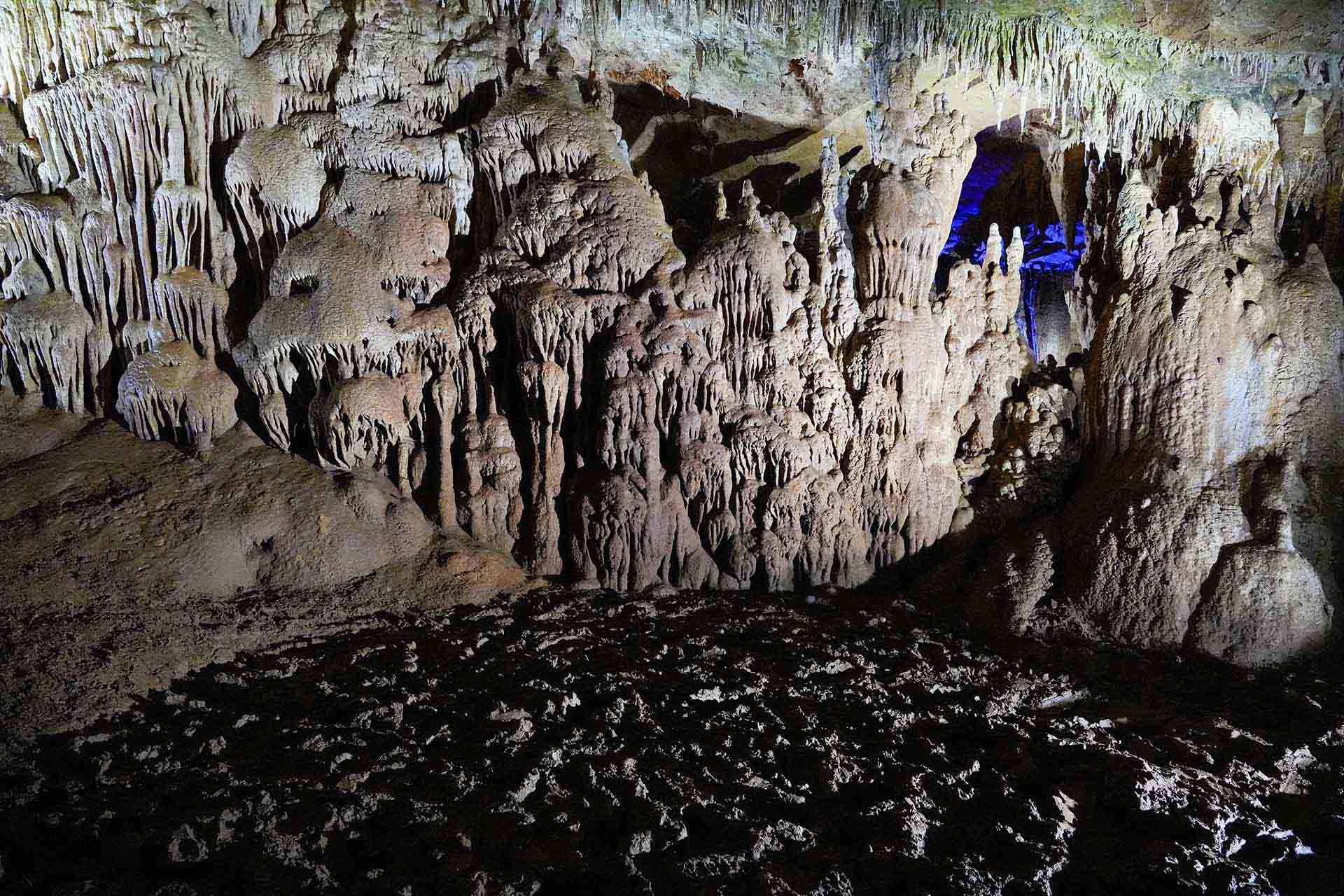 AI翻訳ツール比較｜DeepL vs ChatGPT vs Google翻訳【2026年版】