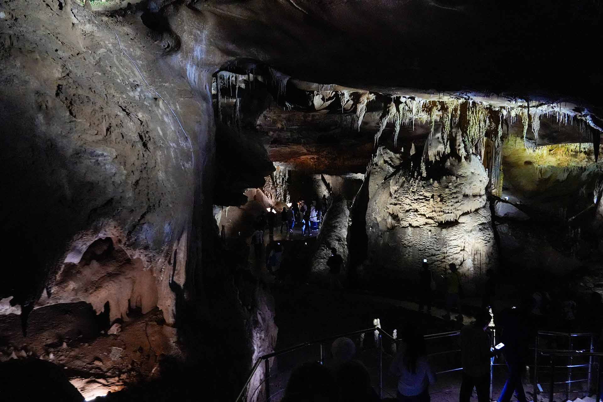 AIで請求書・経費精算を自動化｜freee・マネーフォワード連携ガイド