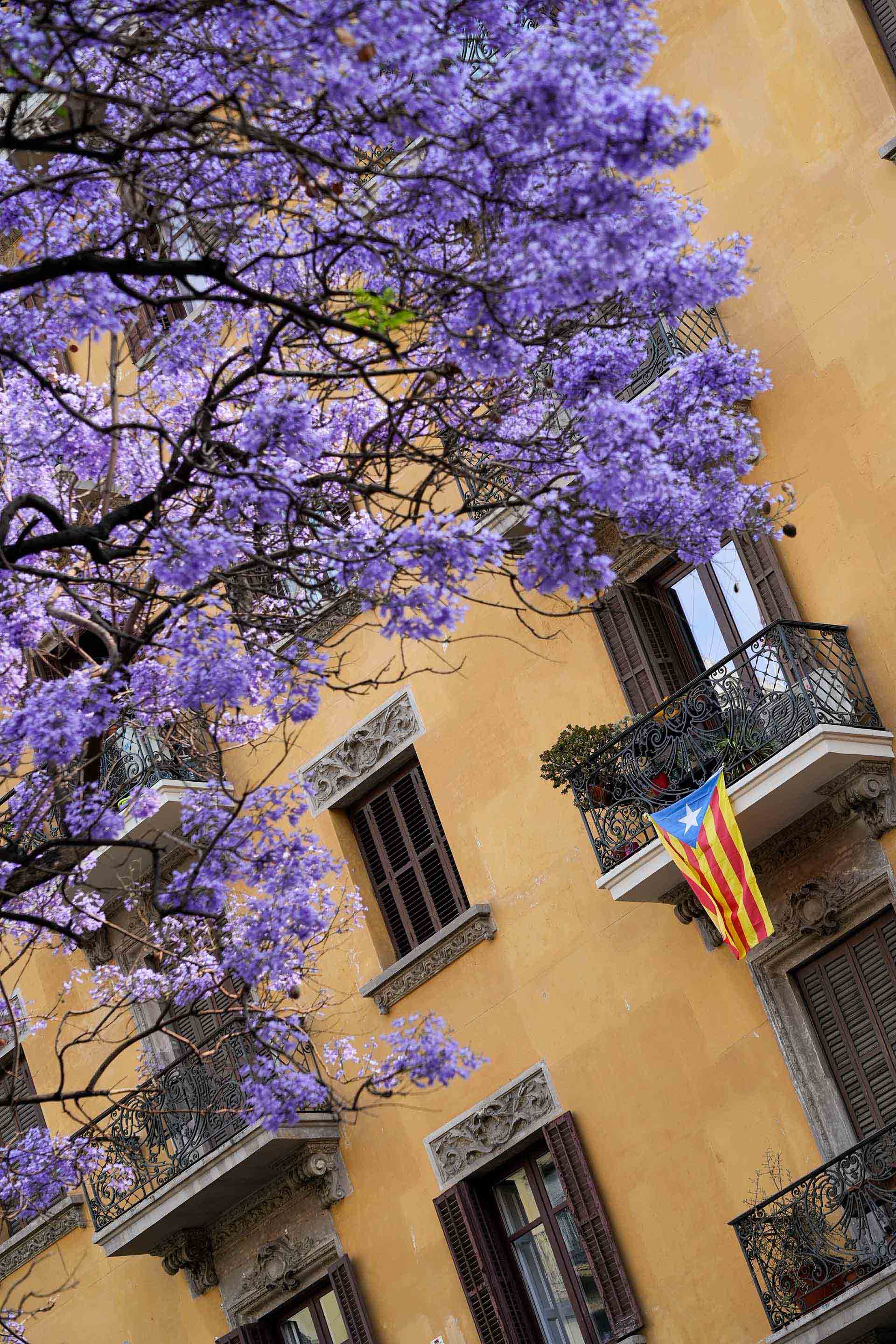 2025年度 AI導入で使える補助金・助成金まとめ