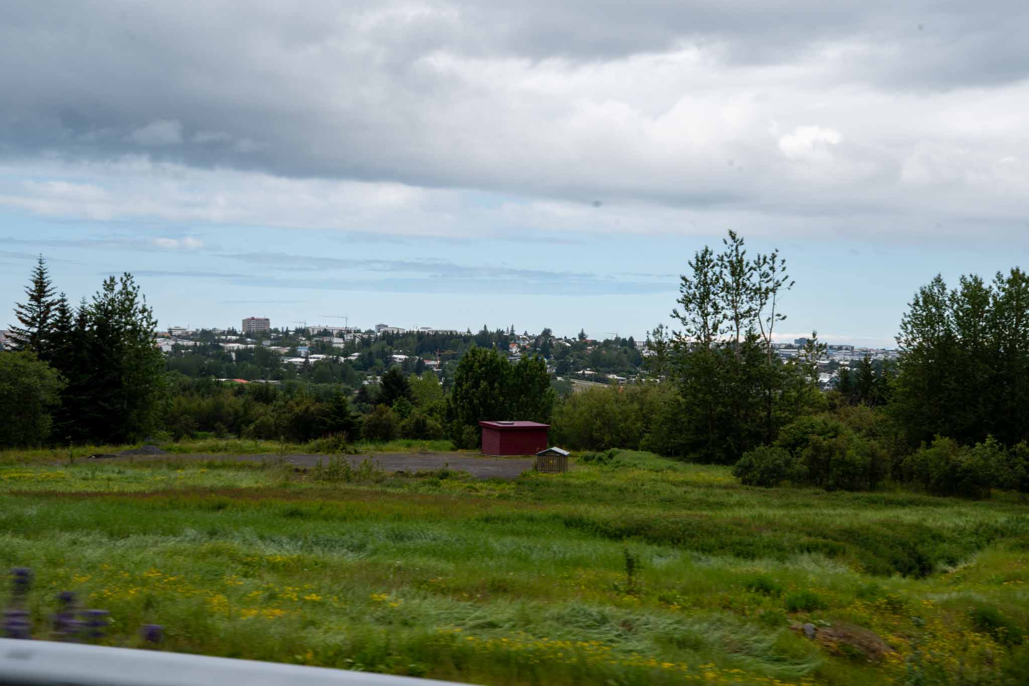 AIリテラシー研修の進め方｜社員教育の実践ガイド