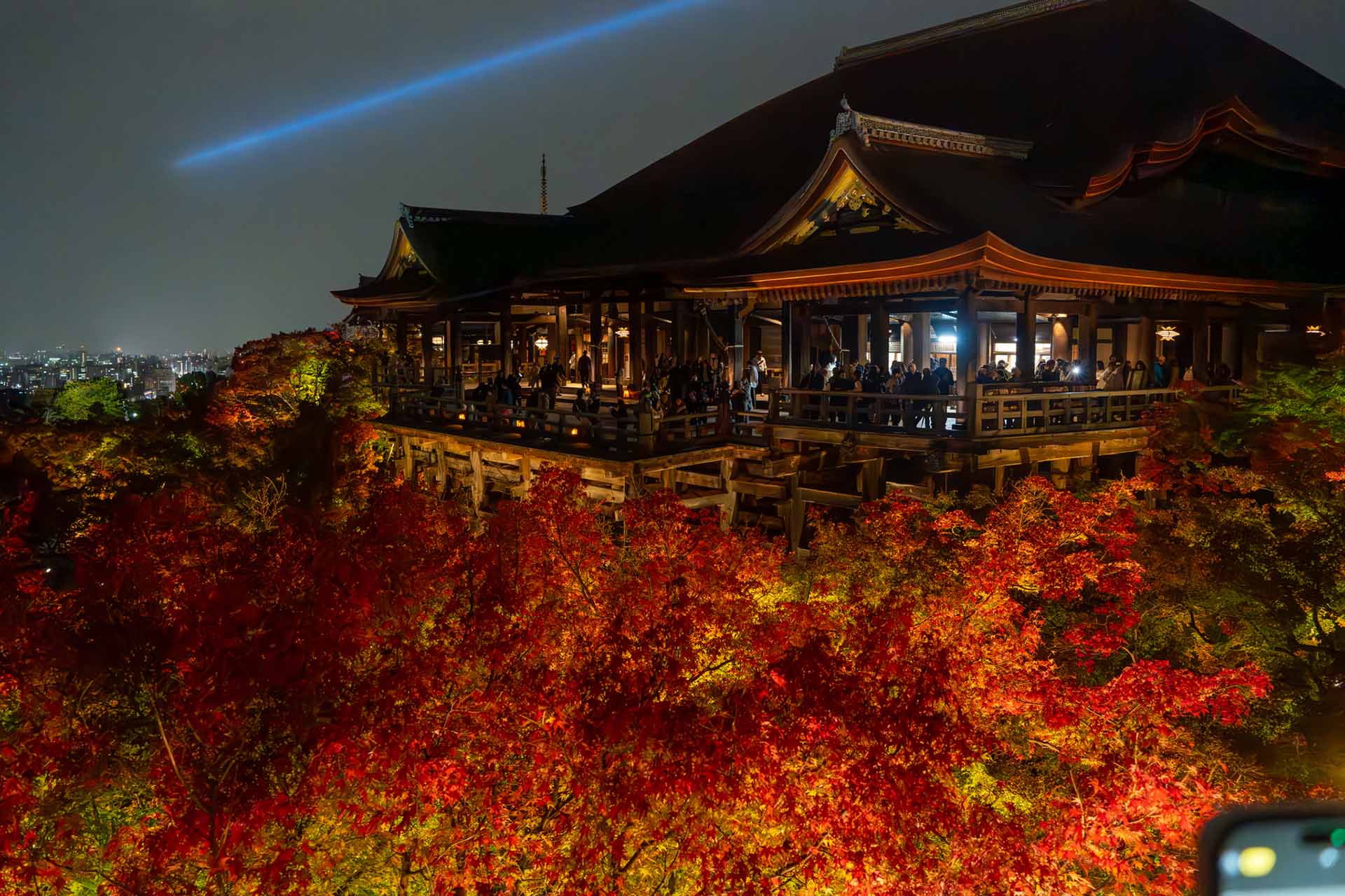 農業のAI活用ガイド｜収穫予測・病害虫検知・スマート農業