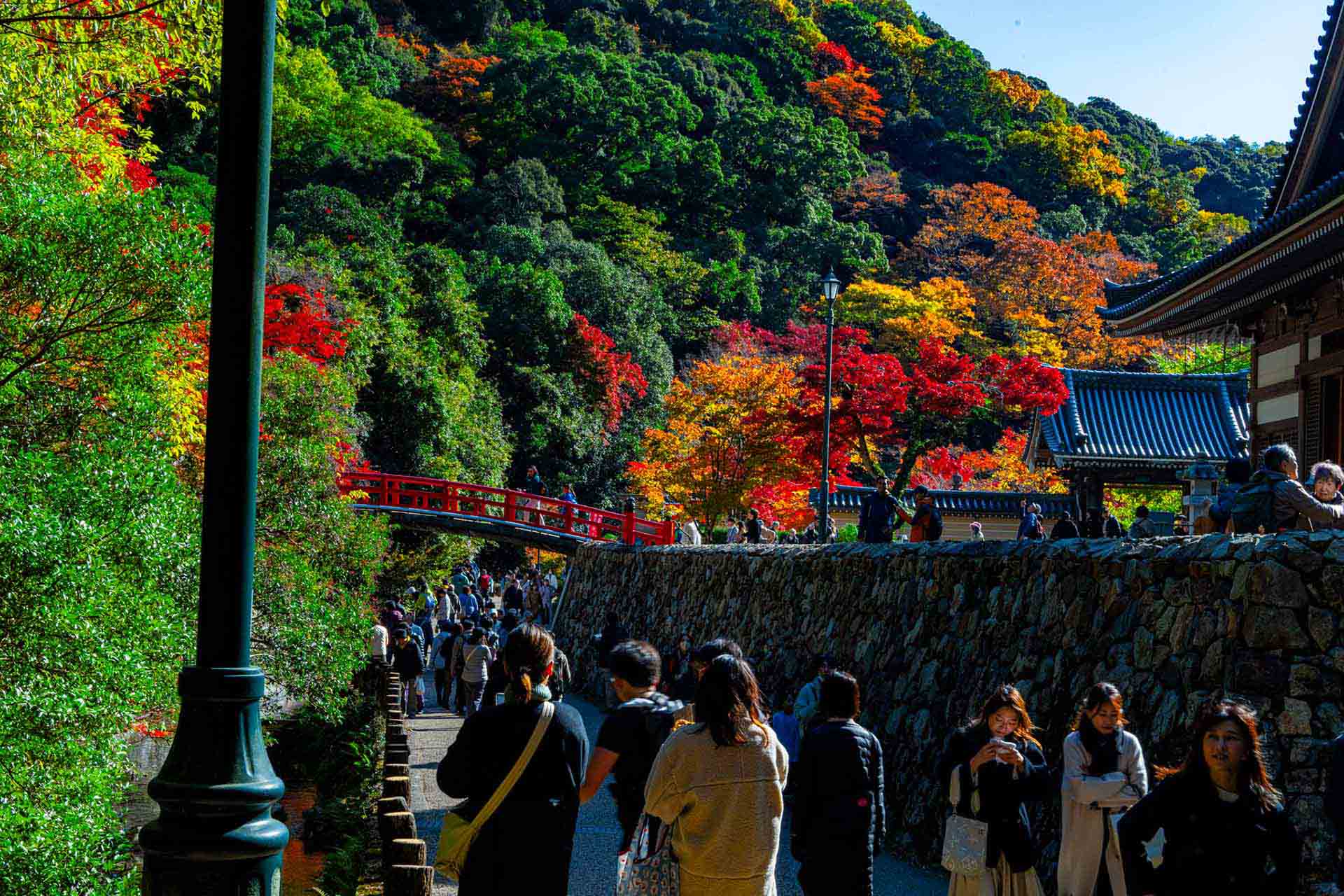 AIエージェントとは？中小企業が今知るべき次世代AI活用ガイド