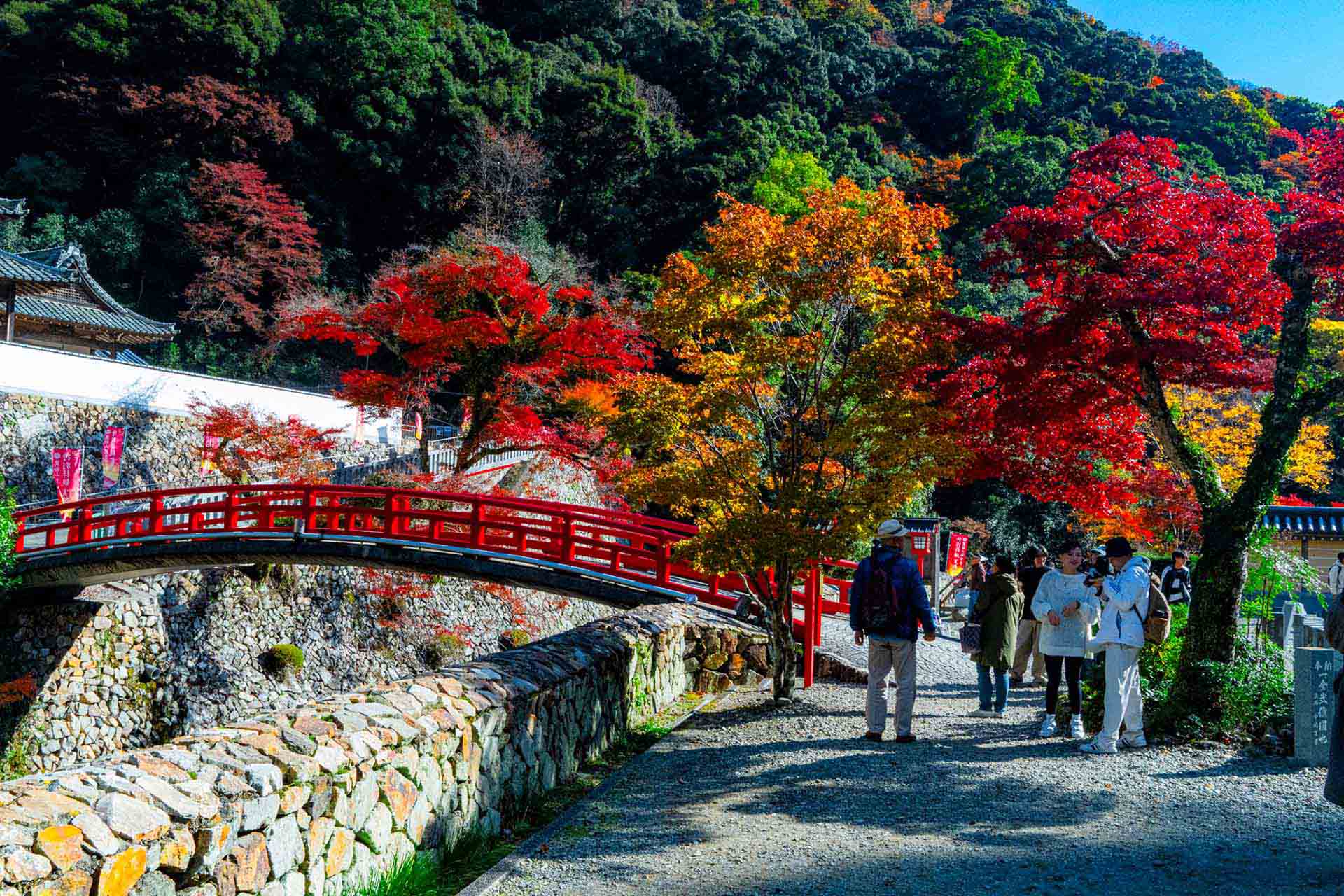 AIリテラシー研修の進め方｜社員教育の実践ガイド【カリキュラム例付き】