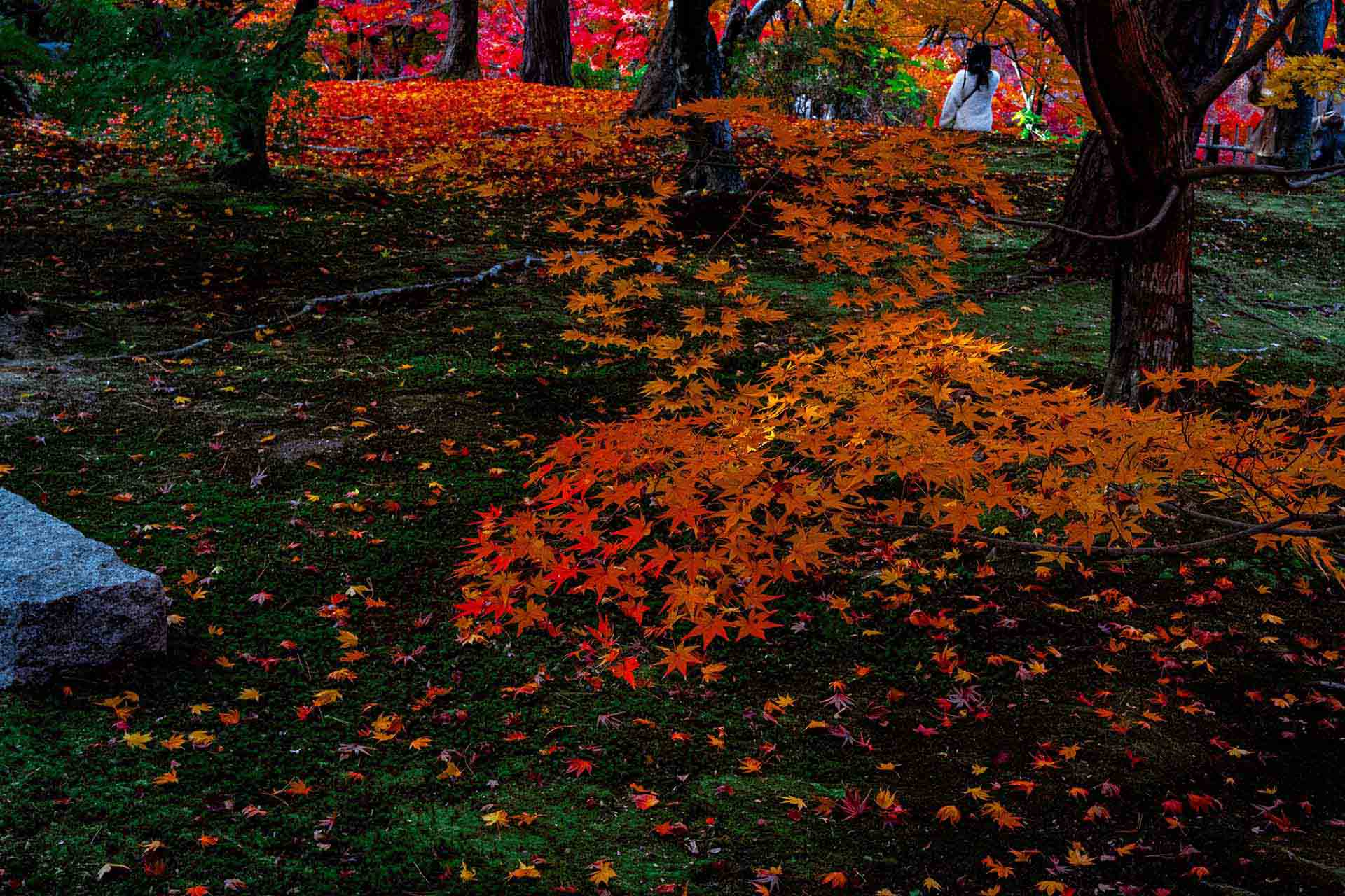 AI業務効率化ガイド｜中小企業の生産性を上げる具体的な方法