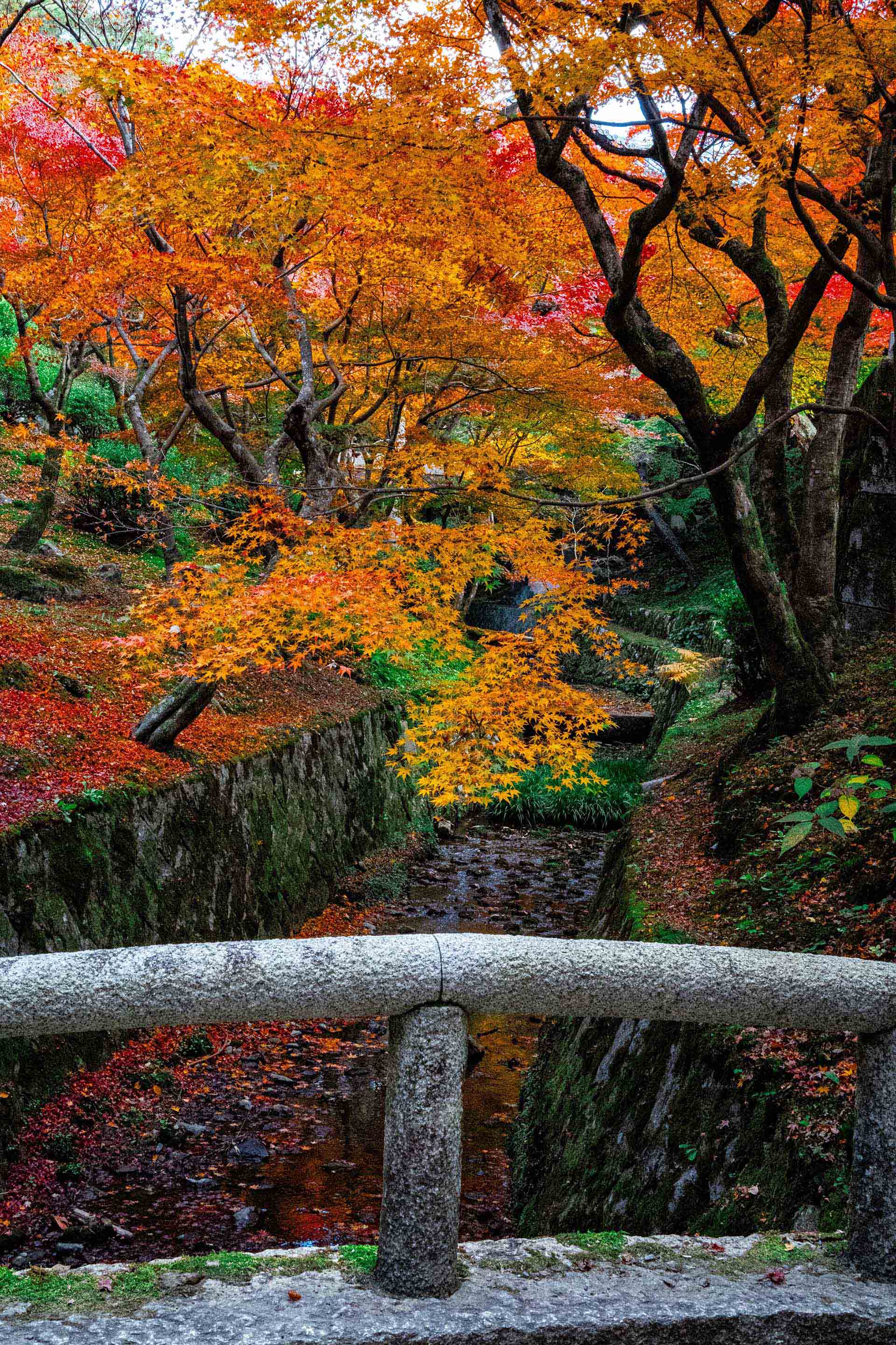 Temperature（温度）とは？AIの「創造性」を調整するパラメータを解説