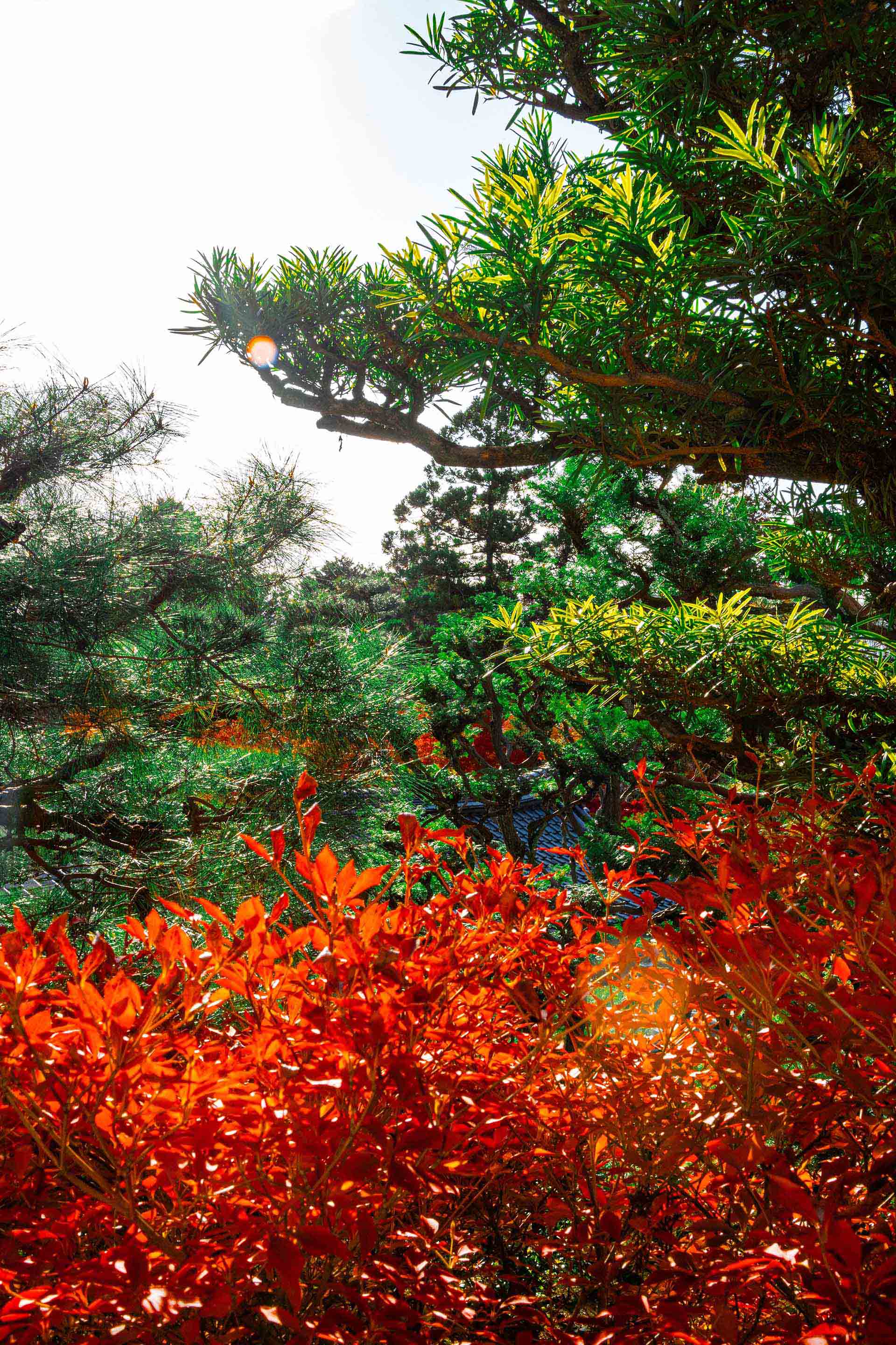 拡散モデル（Diffusion Model）とは？Stable Diffusionの仕組みを解説